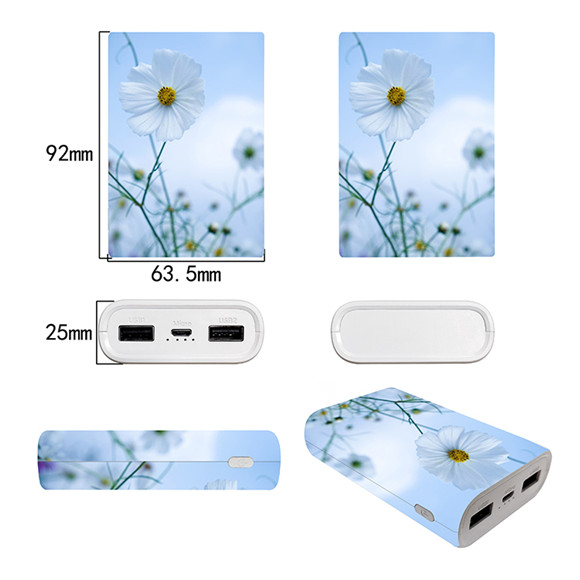 2020 newest full real 5000mAh small size Power Bank LWS-8021